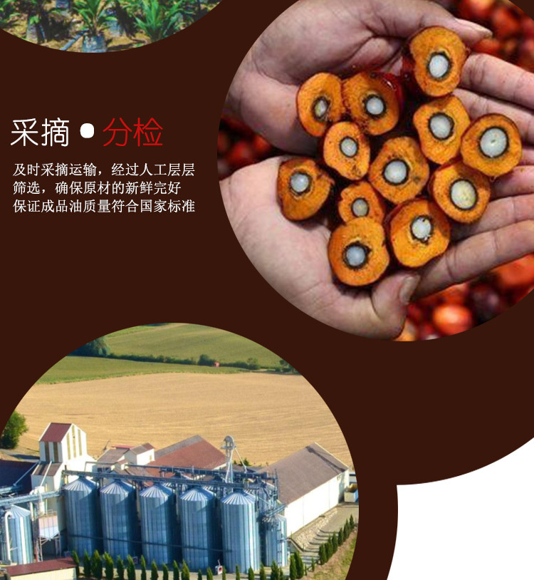 详情-07.jpg
