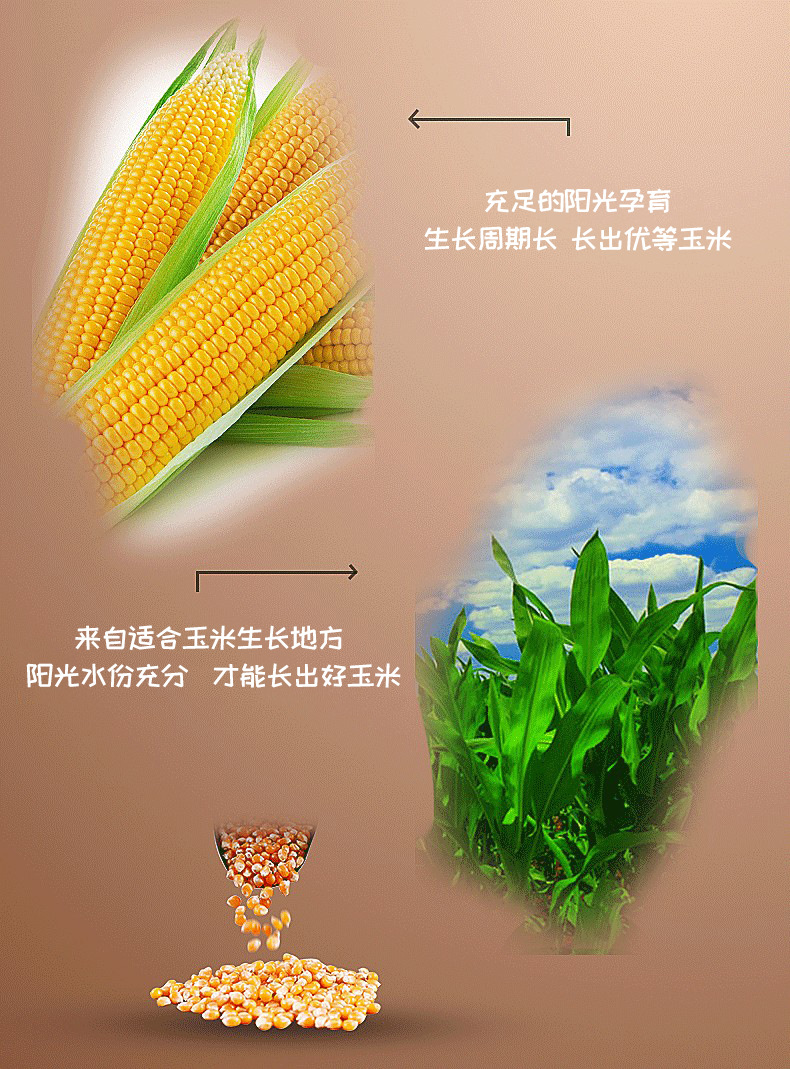 详情-07.jpg
