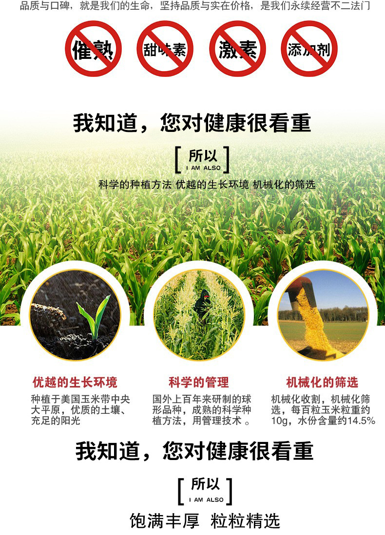 详情-07.jpg