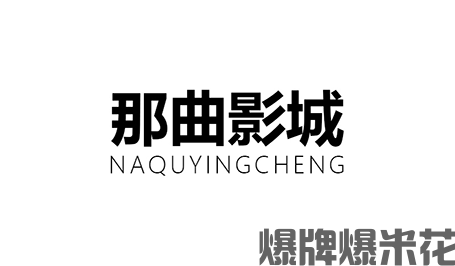 那曲市城投影视有限公司.png