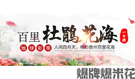 贵州百里杜鹃花海风景区.png
