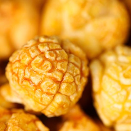 爆米花玉米怎么种植